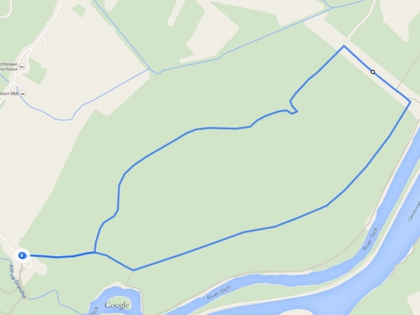 Google Map for Pine Tree Circuit Red Trail (2) Fort Augustus